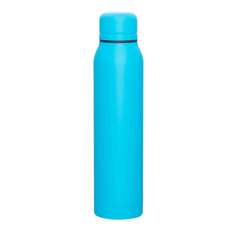 Custom Water Bottles - 16 oz. Stainless Steel Bottle-Blank