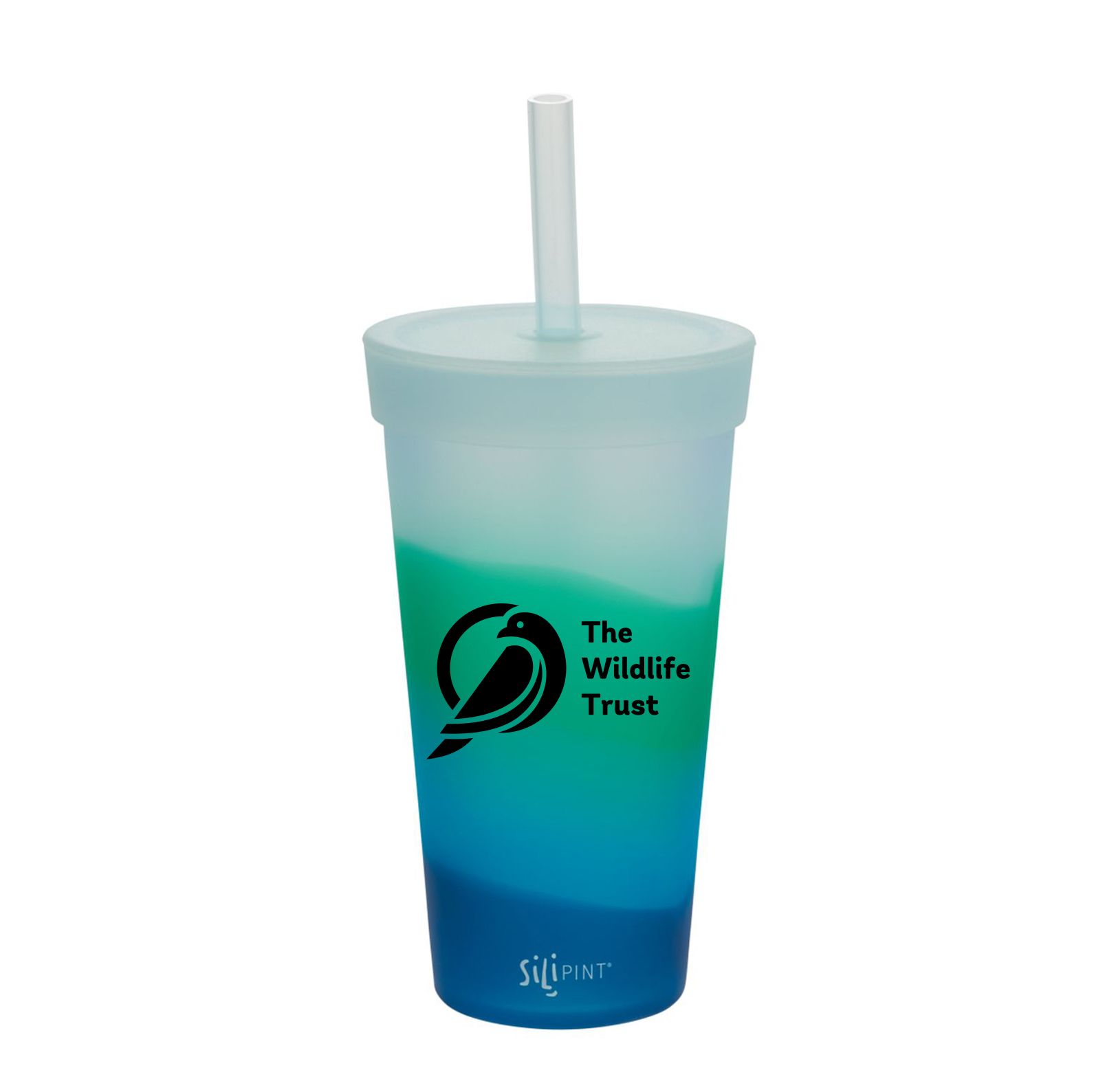 22 Oz. Silipint Straw Tumbler