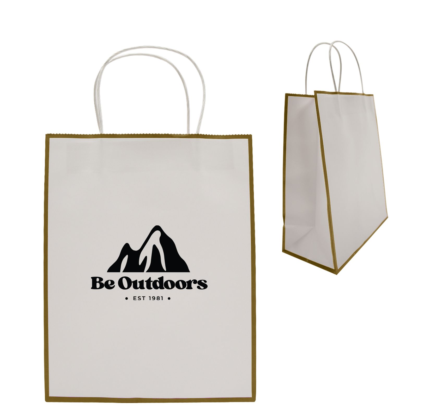 Laminated Paper Gift Bag