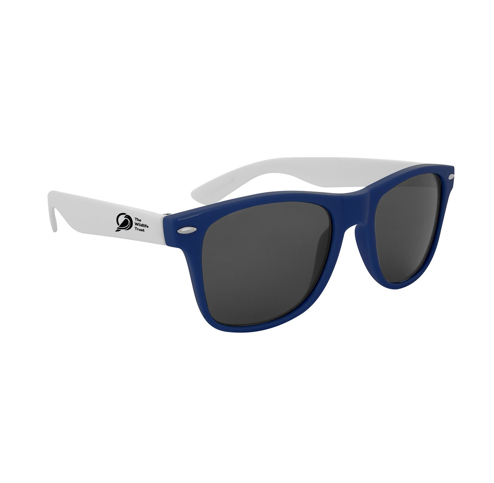 Colorblock Malibu Sunglasses