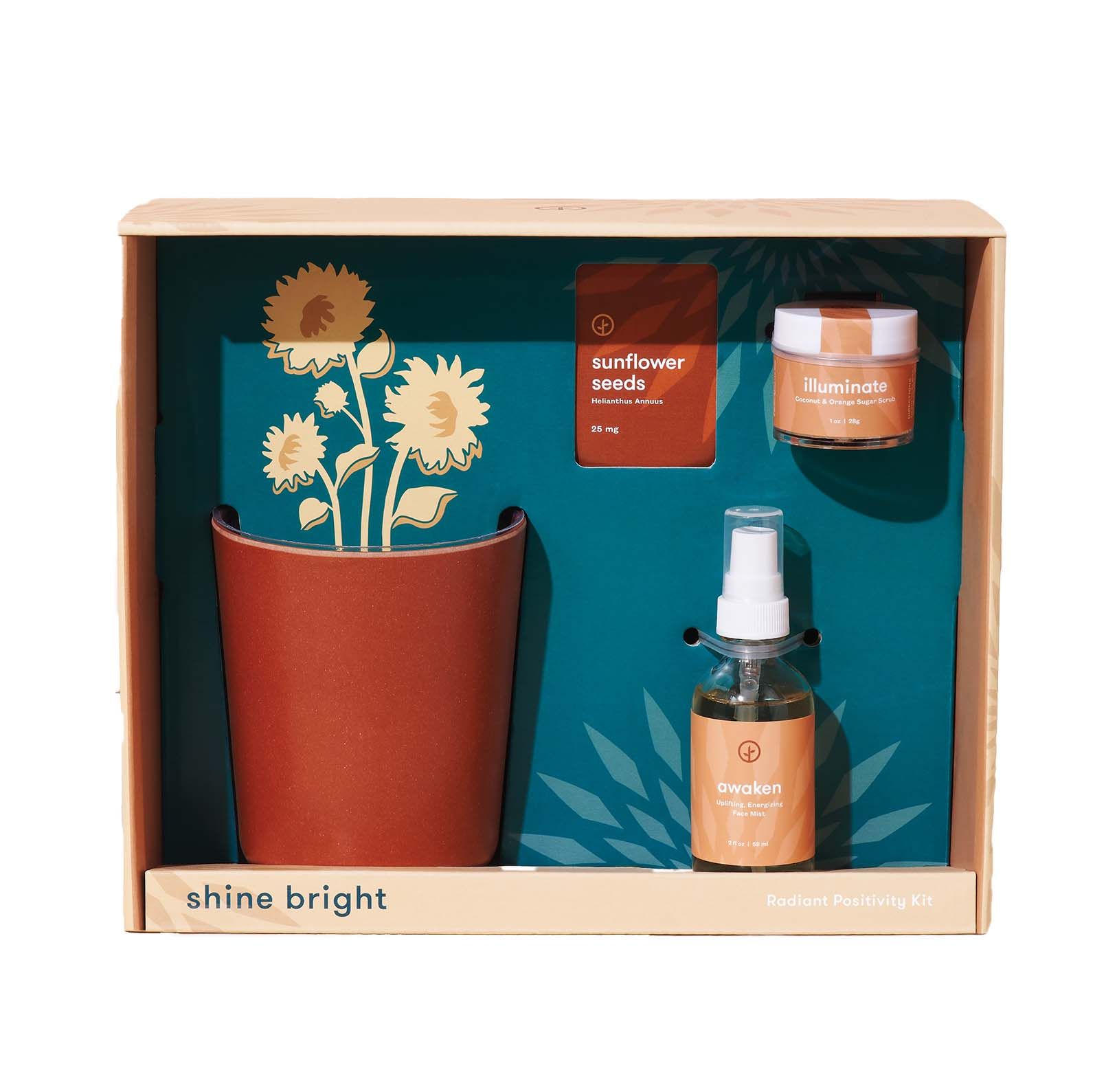 Sunflower Care Kit