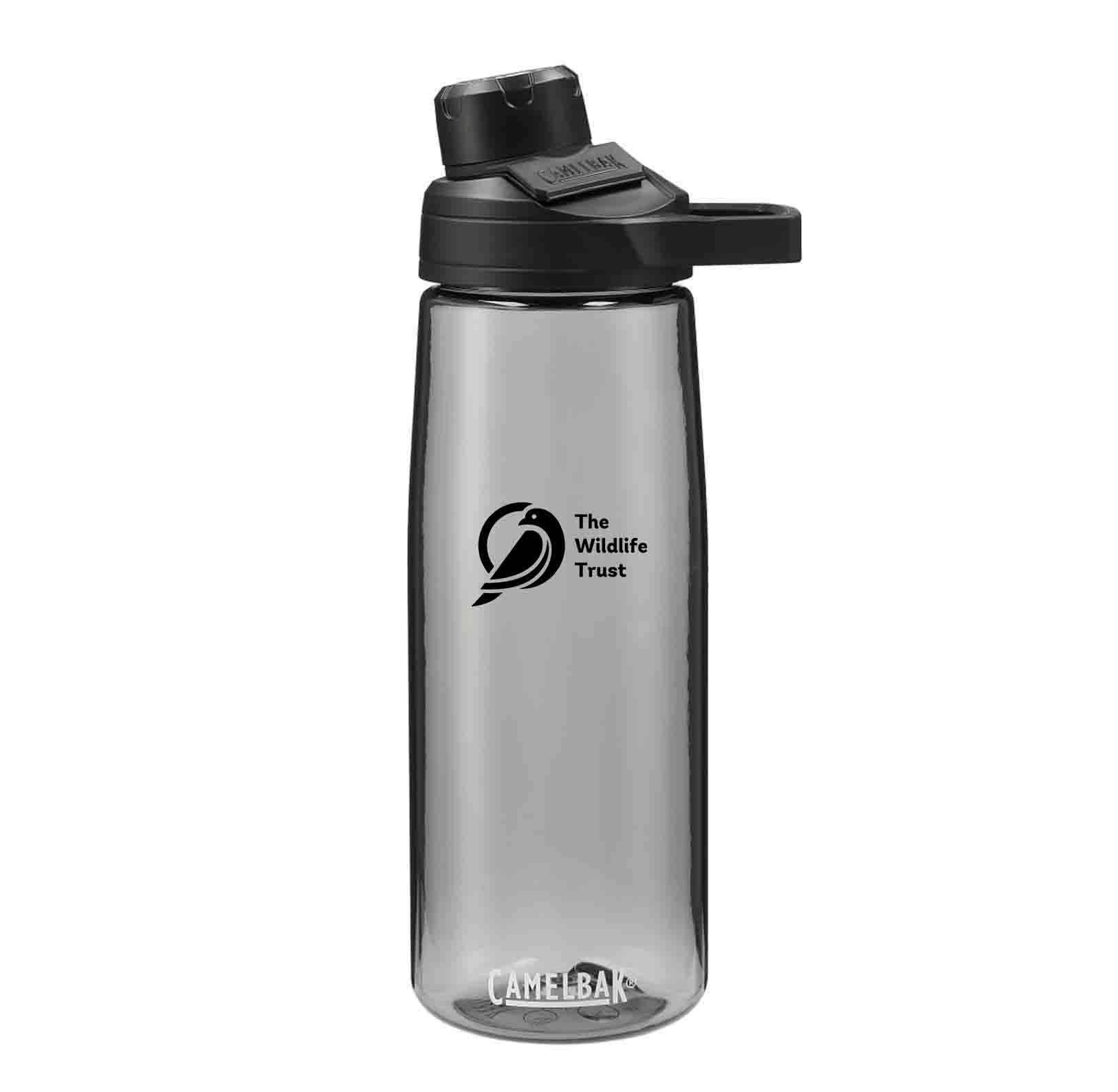 CamelBak 25 Oz. Mag Renew Water Bottle