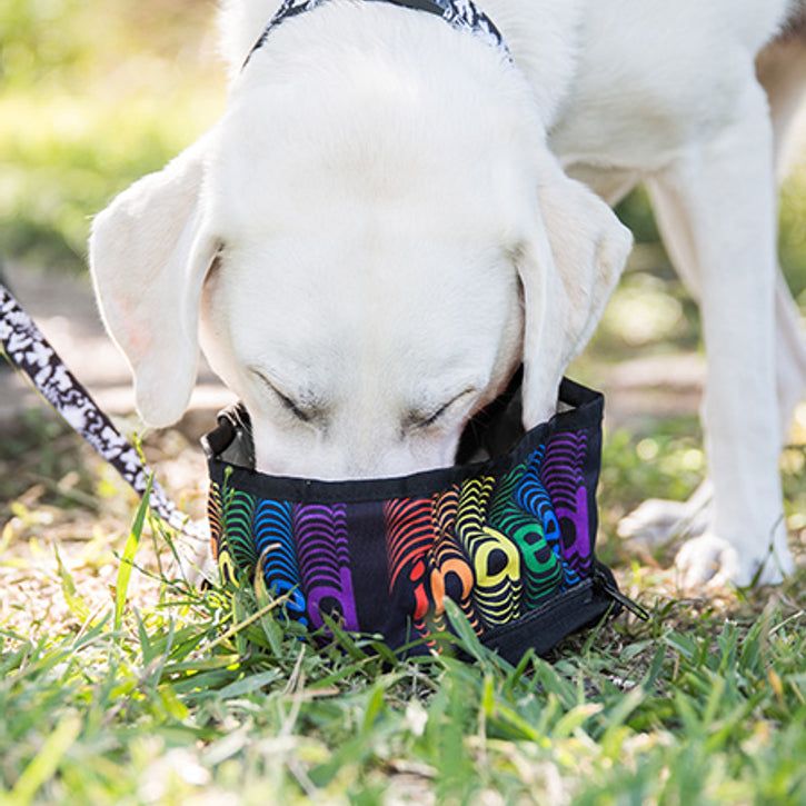 Custom Dog Travel Bowl