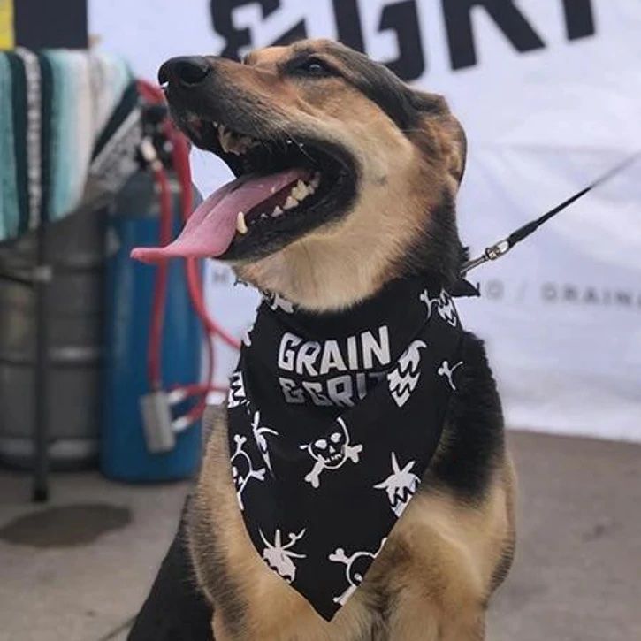 Custom Large Dog Bandana