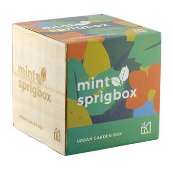 Sprigbox Mint Grow Kit