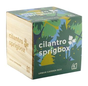 Sprigbox Cilantro Grow Kit