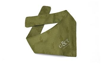 Small Premium Pet Bandana